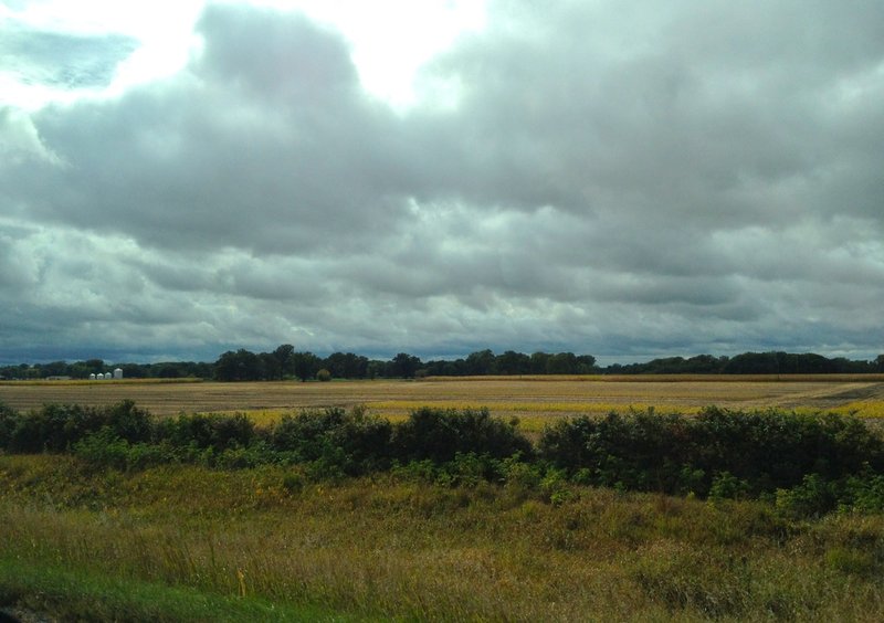 tagisu - tagtober - 1380674087-3160-773