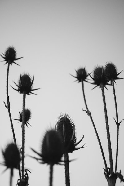 tagisu - tagtober - 1380678119-4233-865