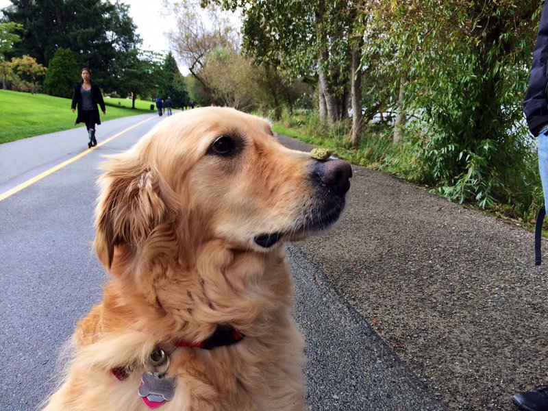 tagisu - tagtober - 1380693049-8119-653