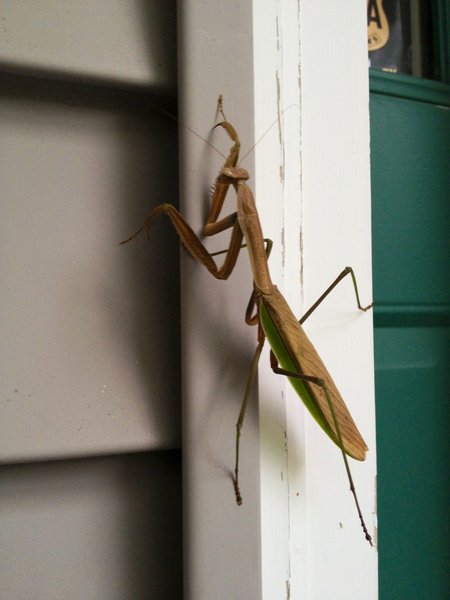 tagisu - tagtober - 1380755332-22065-793