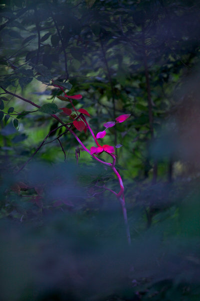 tagisu - tagtober - 1380760380-23442-181