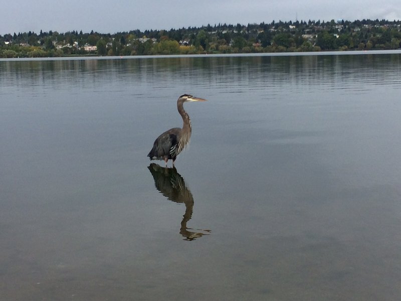 tagisu - tagtober - 1380772911-27179-633