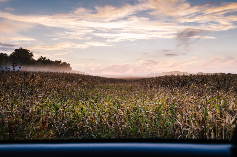 tagisu - tagtober - 1380776632-28029-802