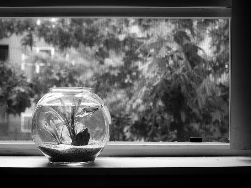 tagisu - tagtober - 1380777599-28258-337