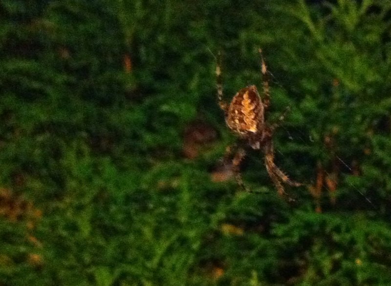 tagisu - tagtober - 1380779120-28563-160