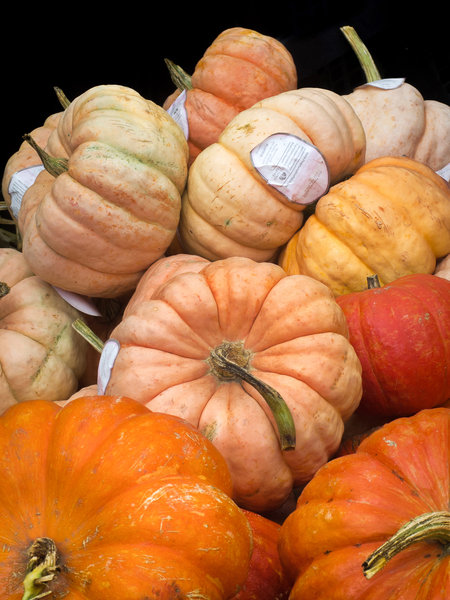 tagisu - tagtober - 1380841748-10225-139