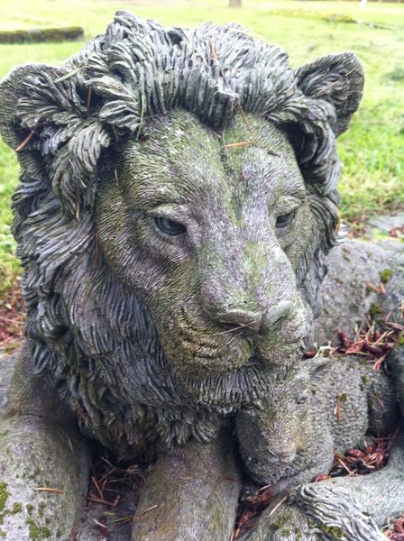 tagisu - tagtober - 1380848436-11566-821