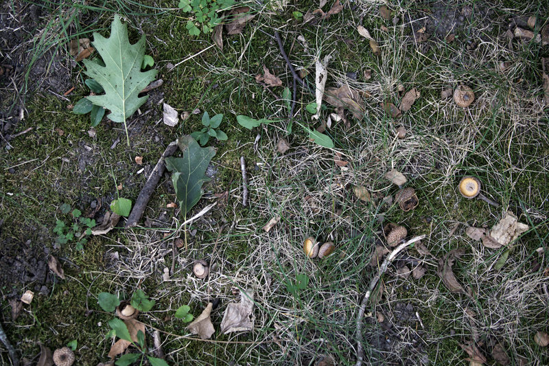 tagisu - tagtober - 1380849134-11749-633