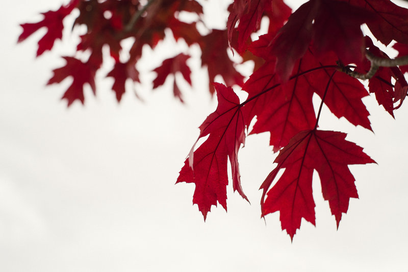 tagisu - tagtober - 1380849361-11815-551