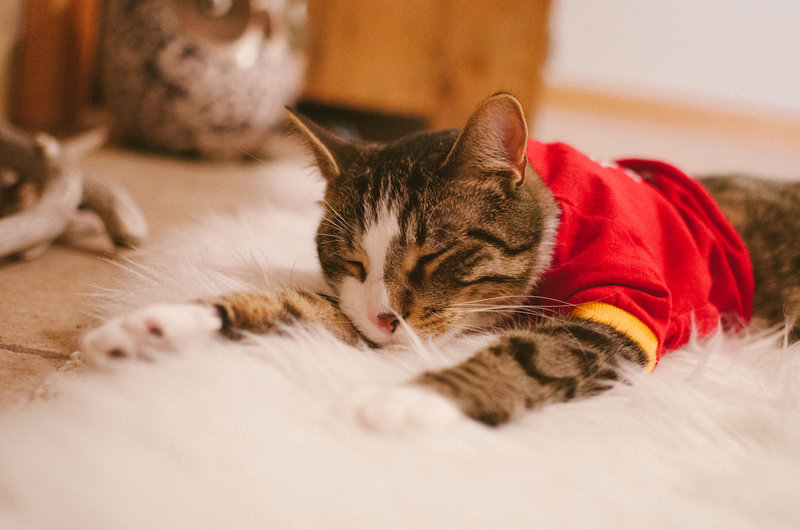 tagisu - tagtober - 1380859889-13940-389