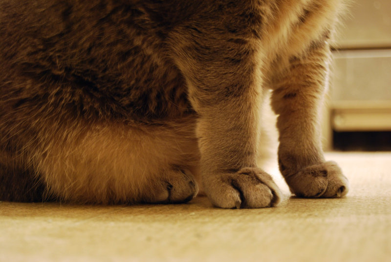 tagisu - tagtober - 1380859893-13956-389