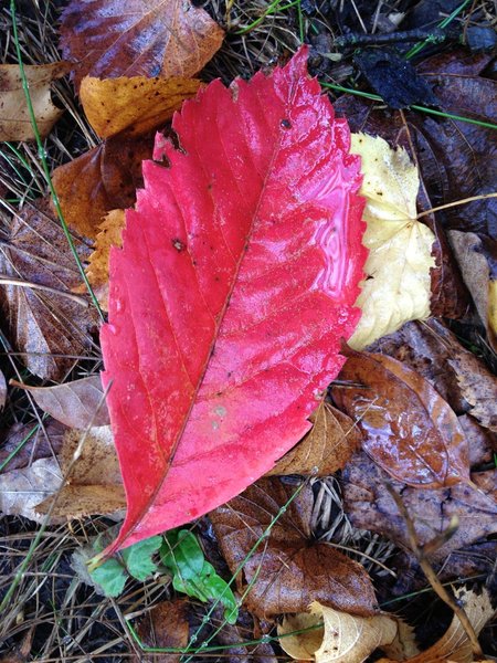 tagisu - tagtober - 1380931856-28234-897