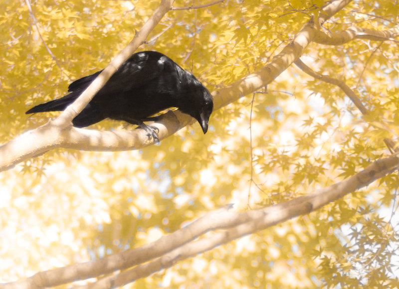 tagisu - tagtober - 1380931933-28265-677