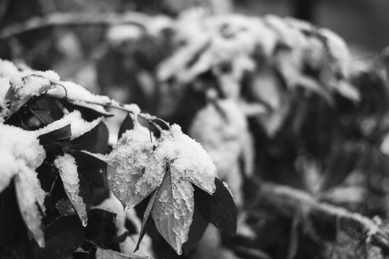 tagisu - tagtober - 1380934828-28828-490