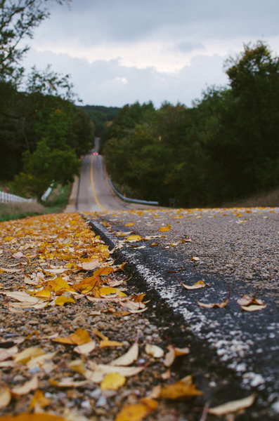 tagisu - tagtober - 1381034153-17132-145