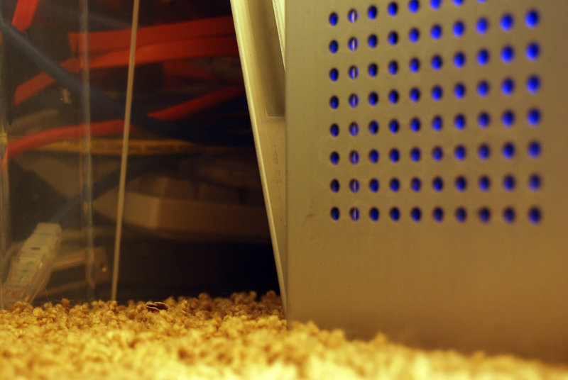 tagisu - tagtober - 1381035601-17459-782