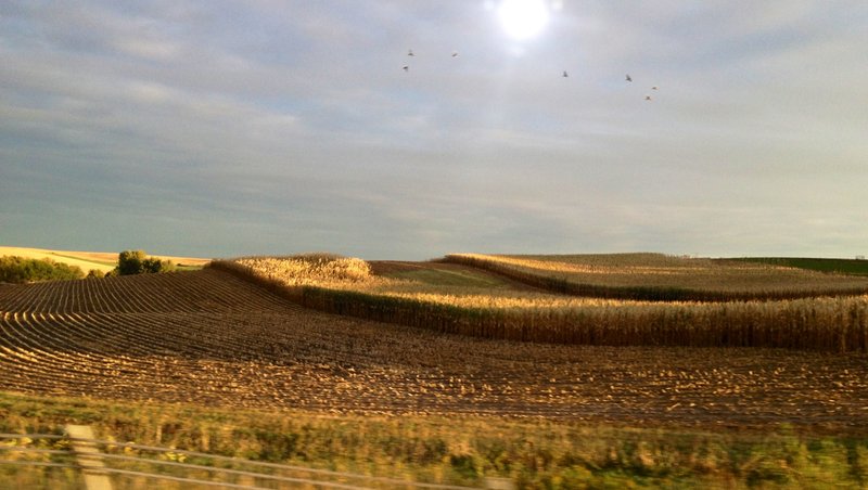 tagisu - tagtober - 1381114580-1564-345