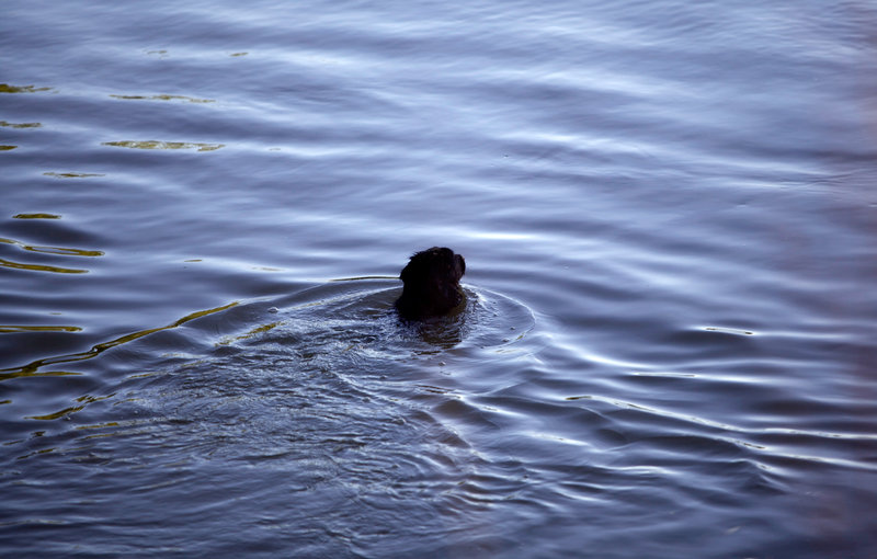 tagisu - tagtober - 1381276656-21312-465