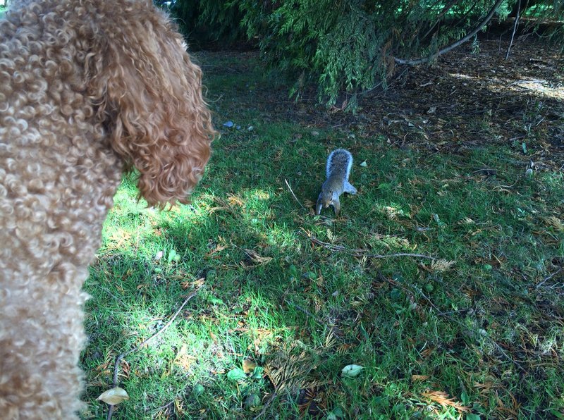 tagisu - tagtober - 1381280690-22893-210