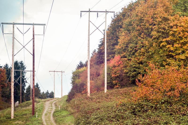 tagisu - tagtober - 1381292928-25451-50