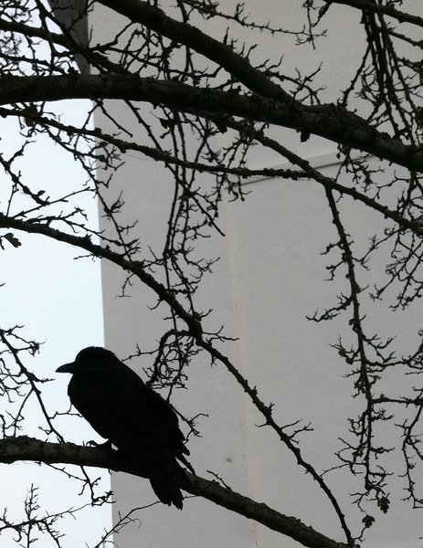 tagisu - tagtober - 1381337102-3490-931