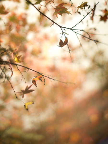 tagisu - tagtober - 1381370381-14078-223