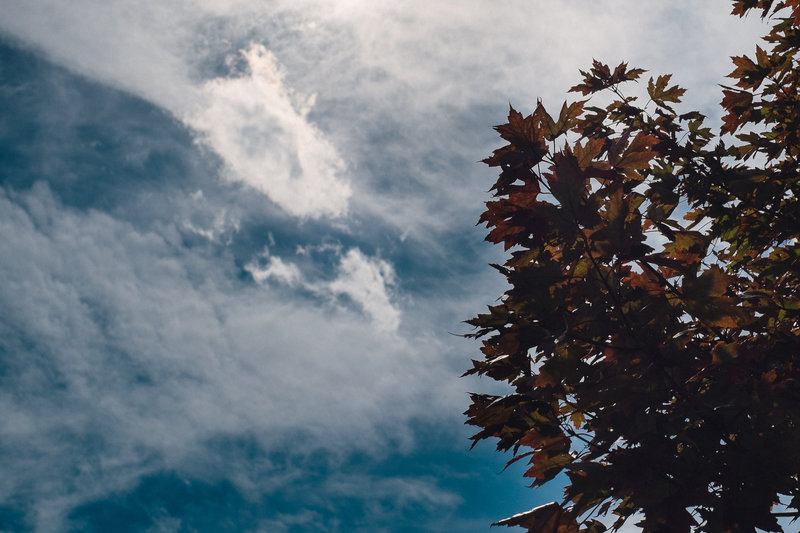 tagisu - tagtober - 1381455265-1947-427