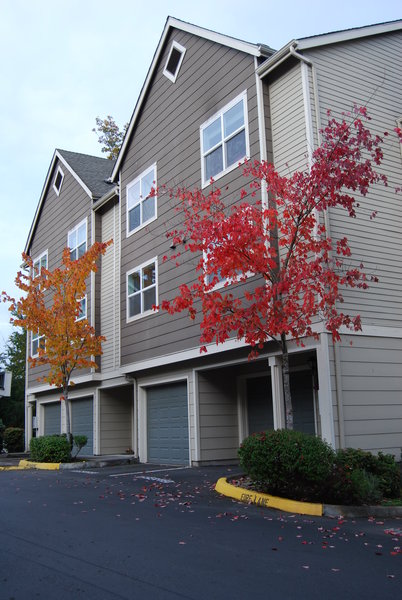 tagisu - tagtober - 1381461808-3334-353