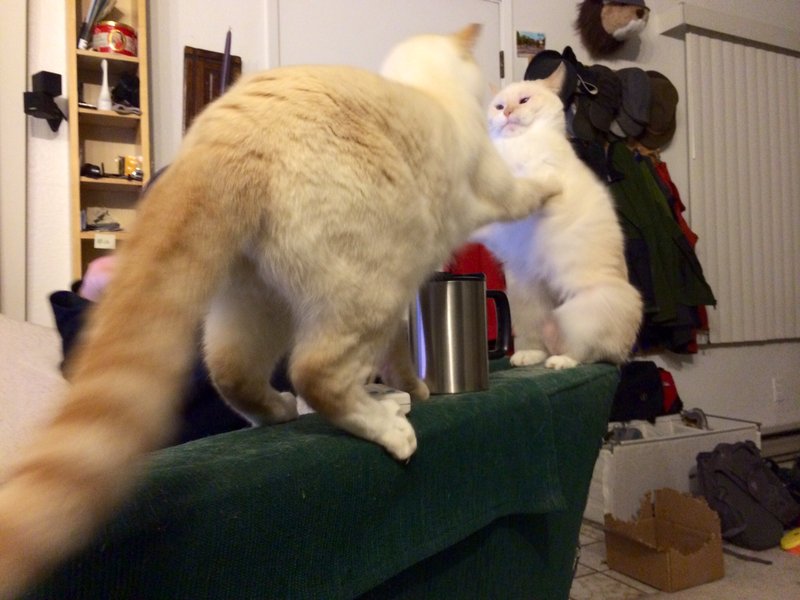 tagisu - tagtober - 1381469858-4954-314