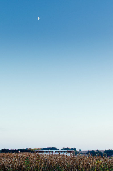 tagisu - tagtober - 1381550457-20351-415