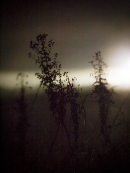 tagisu - tagtober - 1381557287-21641-795