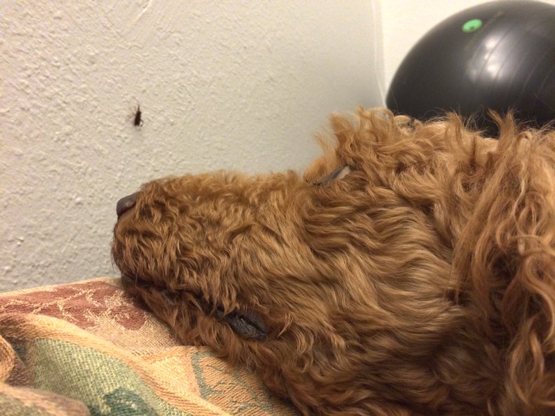 tagisu - tagtober - 1381560023-22277-909