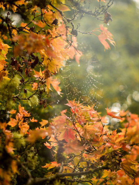 tagisu - tagtober - 1381638156-3881-734