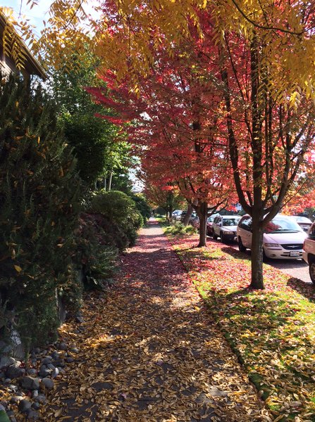 tagisu - tagtober - 1381706274-19379-845