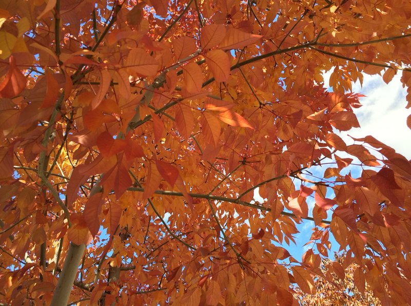 tagisu - tagtober - 1381712732-20539-934