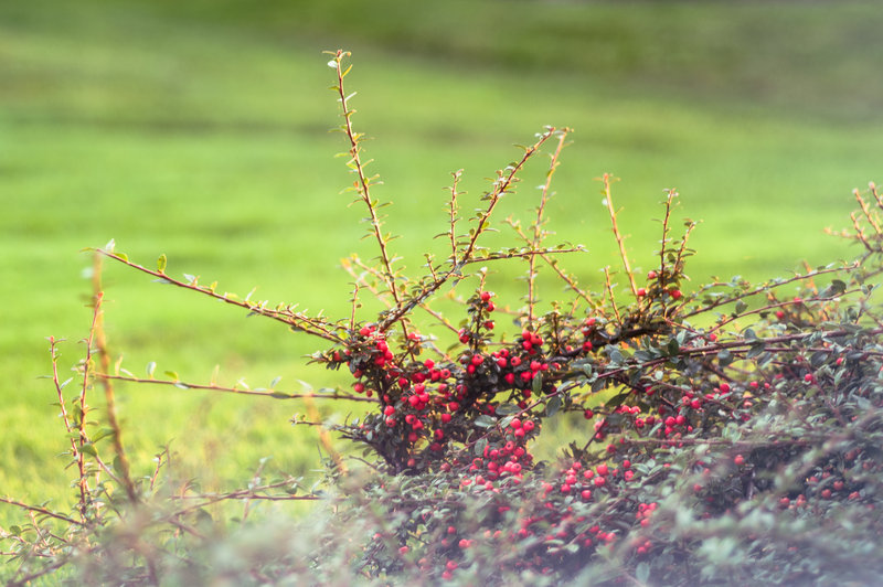 tagisu - tagtober - 1381723216-22404-288