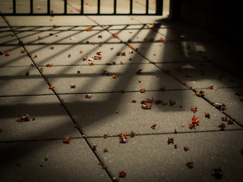 tagisu - tagtober - 1381730154-23729-276