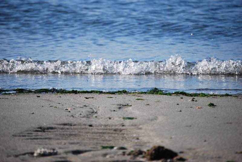 tagisu - tagtober - 1381797037-5367-97