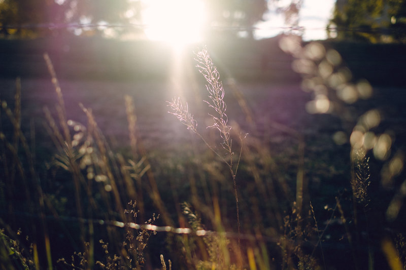 tagisu - tagtober - 1381807461-7315-812