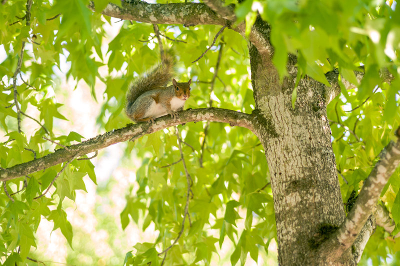 tagisu - tagtober - 1381813172-8406-784