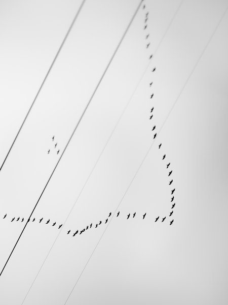 tagisu - tagtober - 1381816124-9008-138