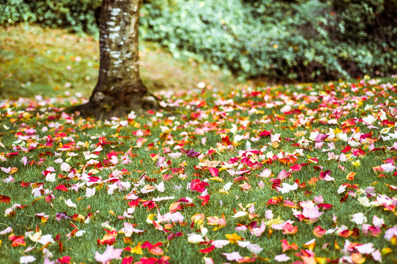 tagisu - tagtober - 1381876459-20843-903