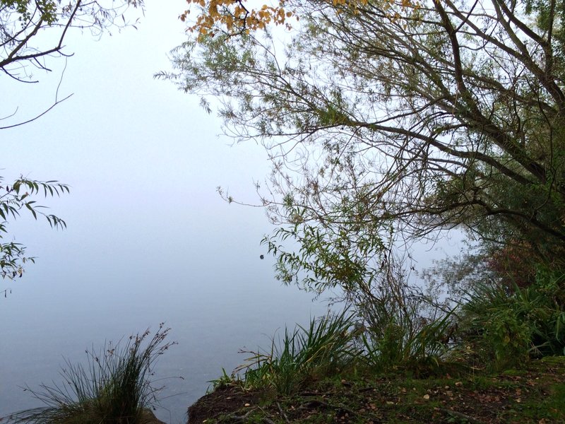 tagisu - tagtober - 1381900605-25470-999