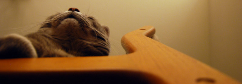 tagisu - tagtober - 1381984395-8527-165