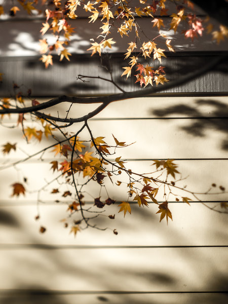 tagisu - tagtober - 1382058950-23224-389