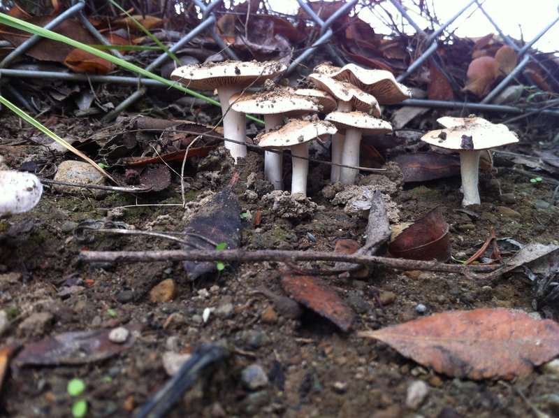 tagisu - tagtober - 1382066458-24675-193