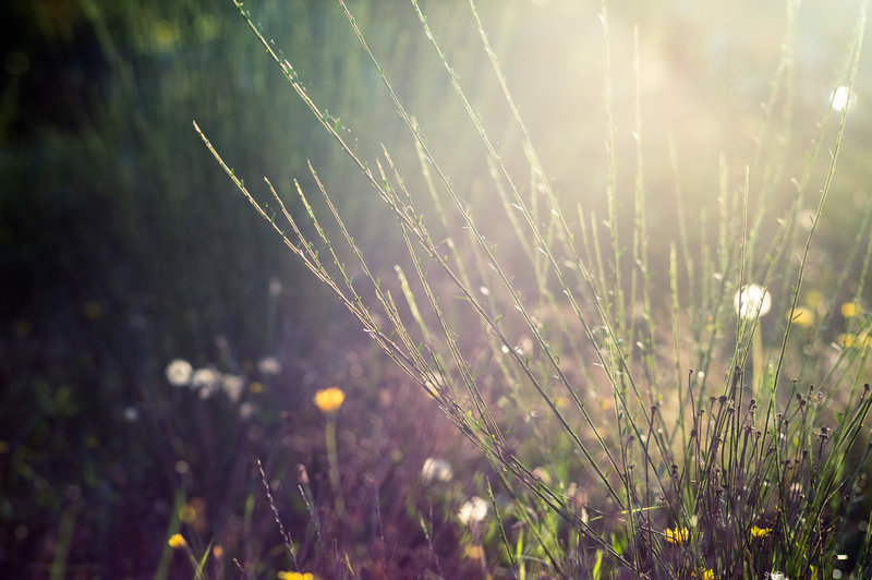 tagisu - tagtober - 1382071068-25634-590