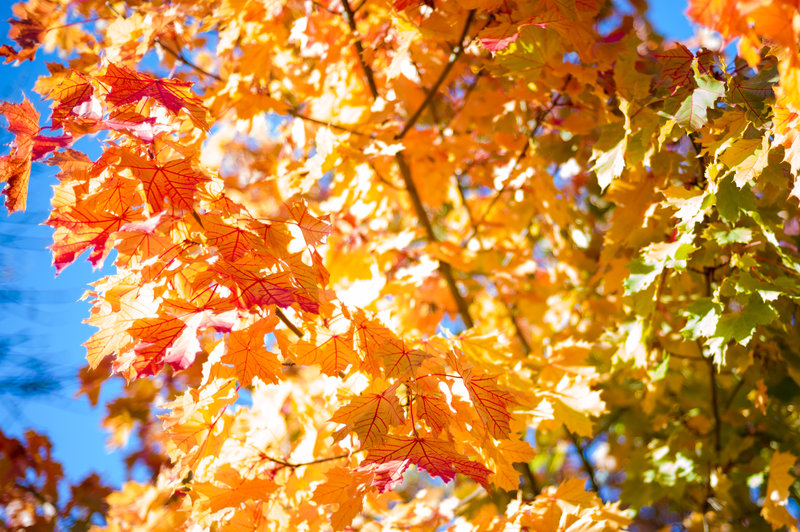 tagisu - tagtober - 1382137424-7357-319