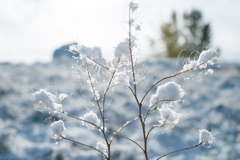 tagisu - tagtober - 1382144024-8709-956