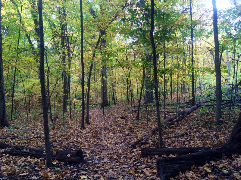 tagisu - tagtober - 1382148663-9551-550